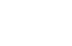 99design_vit